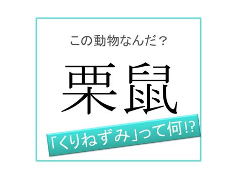 「栗と栗鼠」漢字に詳しい方、この読みを教えてください。でき。